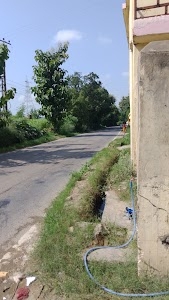 Rajpura