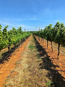 Grover Zampa Vineyards