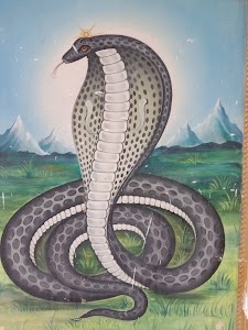 Goga Ji Temple Thimoli