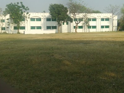 Rewliya