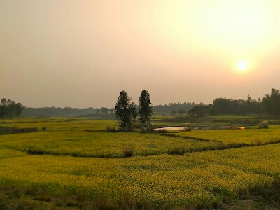 Dopitha