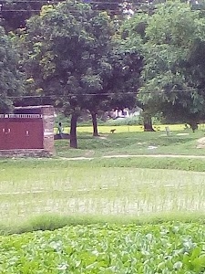 Deoria