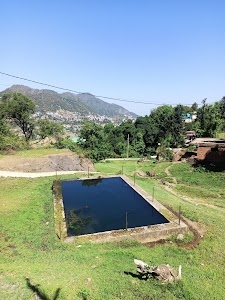 DAMROG SHAMTI SOLAN