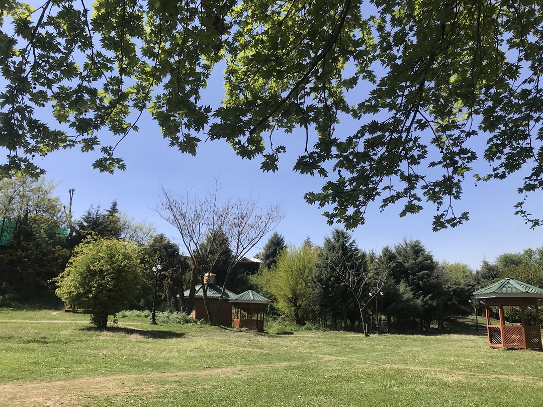 Cherry park main entrance