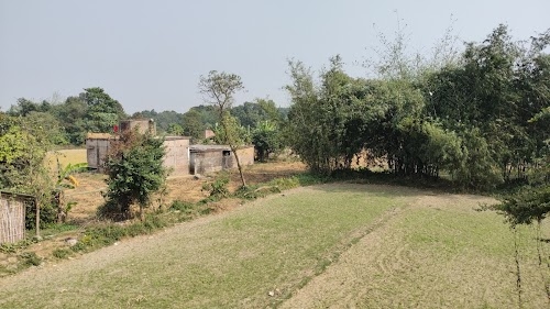 Piprouliya