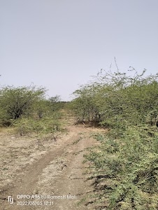 Lakhganga