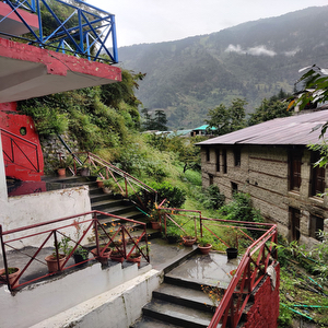 Moustache Manali
