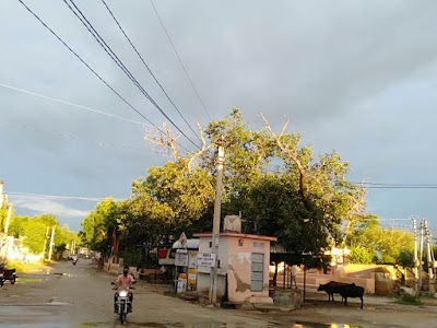 Kankra