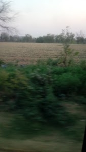 Dilapur