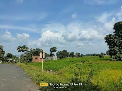 Chaura chhaka Sandeep samal