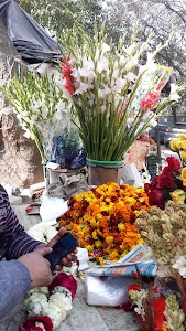 Flower shop
