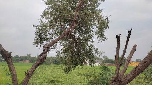 Asafpur