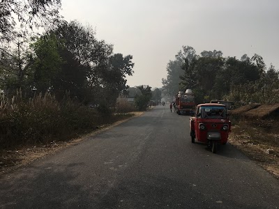 Taj Pipra