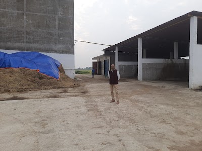 Cold Storage
