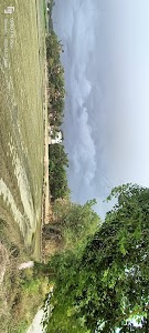 Village Patti