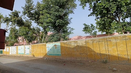 Bucholai