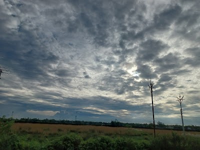 Balai Gachh