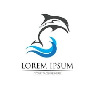 Black dolphin