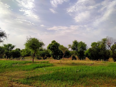 Ugariyawas