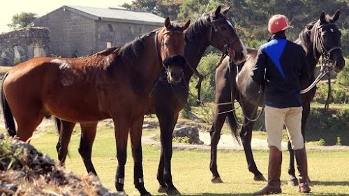 Rider Equestrian Centre