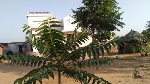 Dhadhar