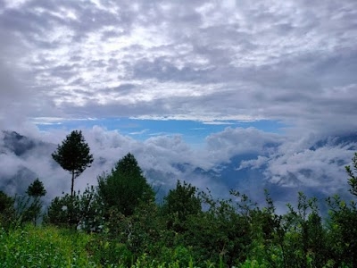 Uri Border Forest