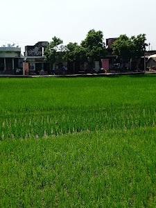 Banhara