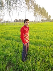 Tehsil Office