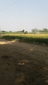 Gadnapur
