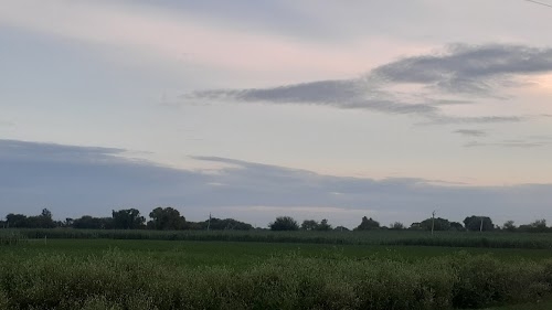 Ghonsli Bahan