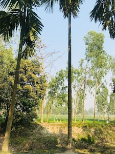 Gopatari Jame Mosque