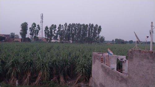Primary school