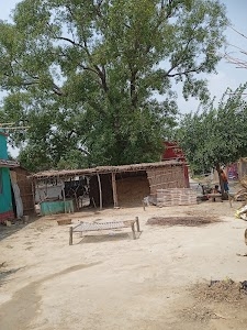 Singh Colony