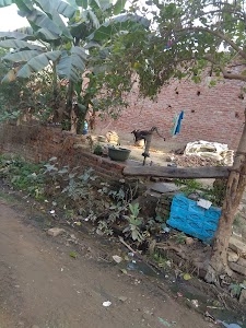 Bhainsroli