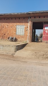 Jadi purkaji