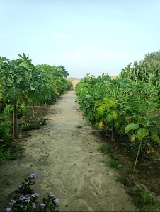 Dr. Bharat Bhushan Farmhouse