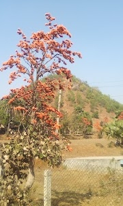 Metalbase India