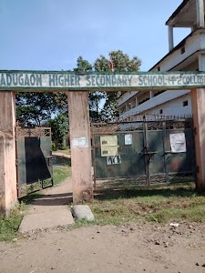 ladugaon +2 College