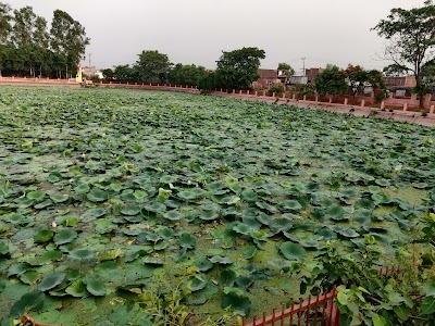 Maa Bala Sundari Mandir