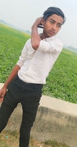 Arman ali