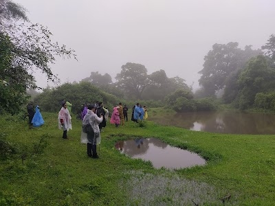 Gwaad on tiger path, mount abu