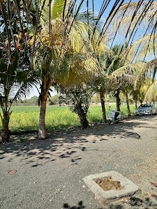 Haripar Pal