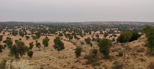 Dhorimanna barmer