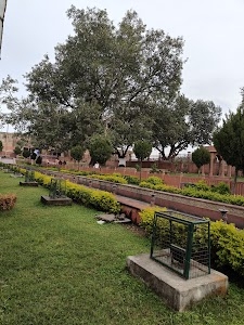 Bawe wali mata