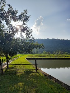 Dzudza resort