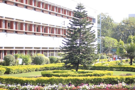 Janki Devi Memorial College