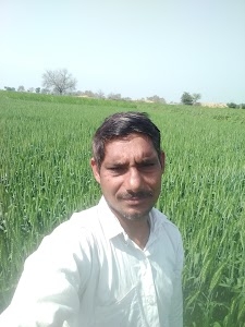 Sangwan Farms