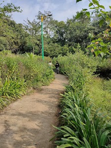 Butterfly Garden