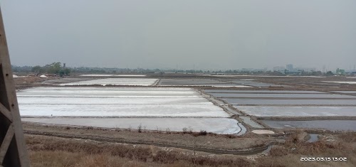 Vasai Salt Pan