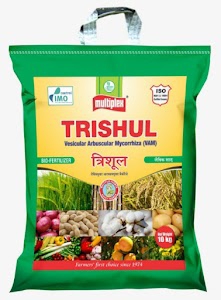 Minal Trading Company
